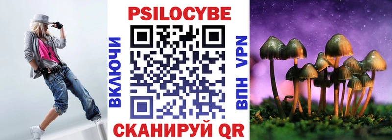 Купить закладки  Медвежьегорск  Псилоцибиновые грибы MAGIC MUSHROOMS 